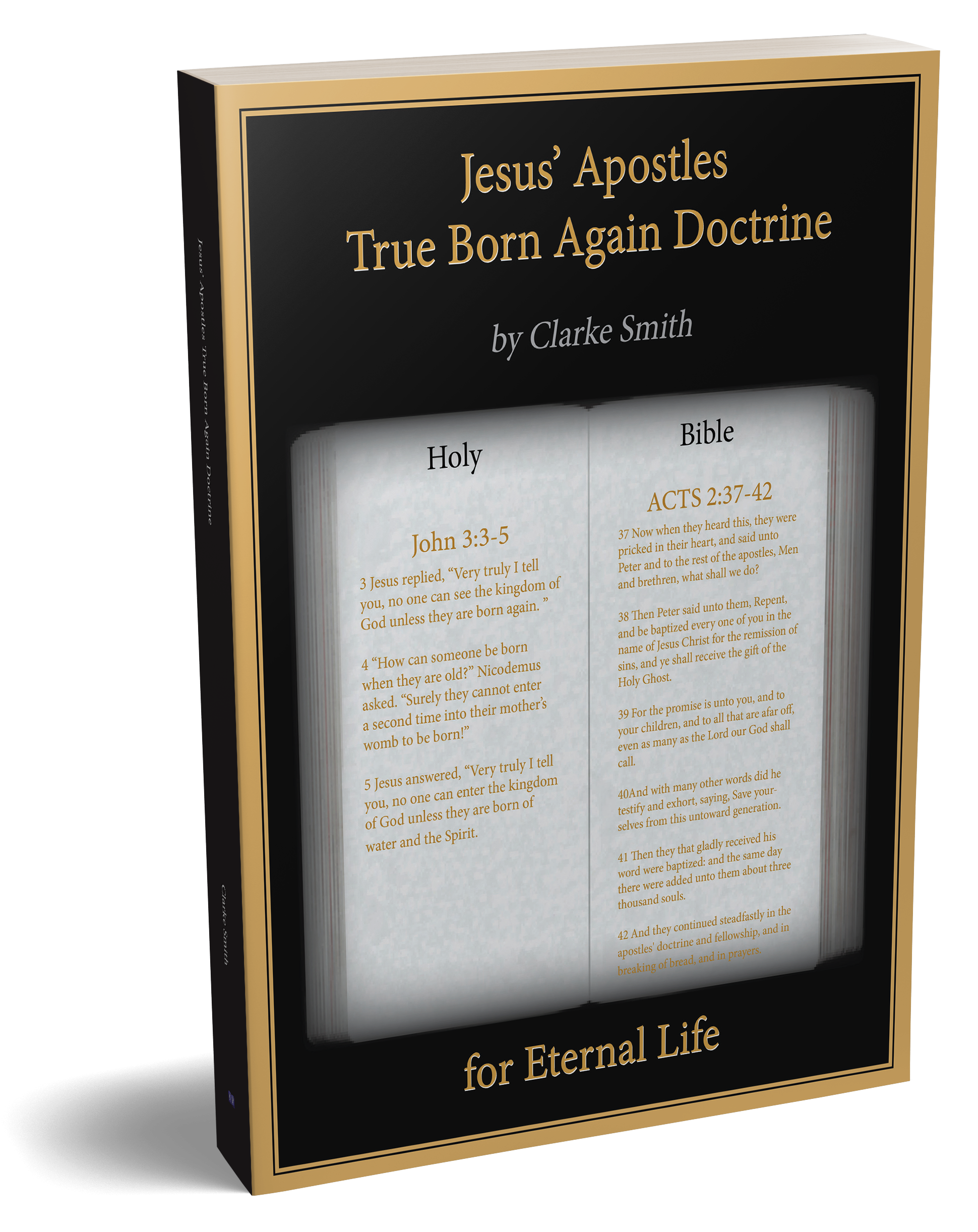 Cover of 'Jesus' Apostles - True Born Again Doctrine'