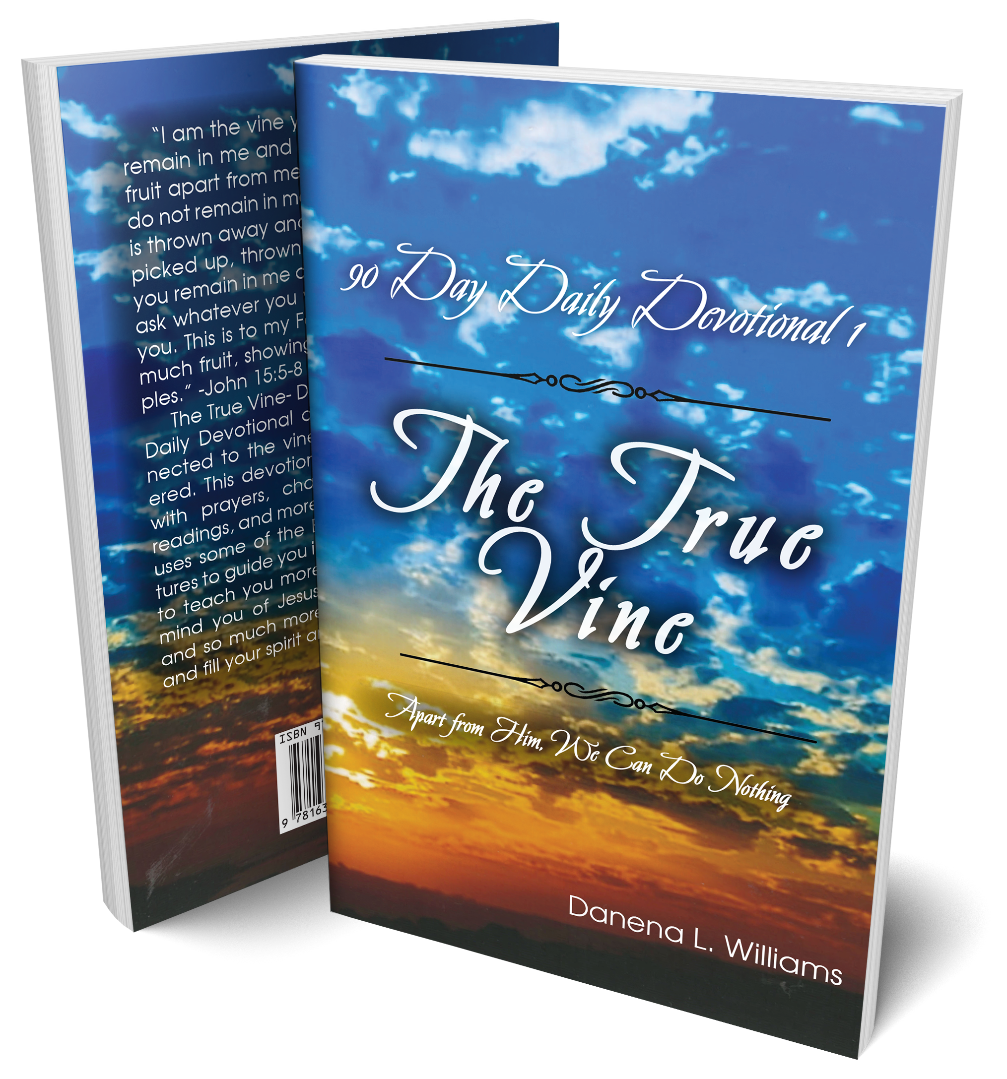 Cover of 'The True Vine - 90 Day Daily Devotional by Danena L. Williams'